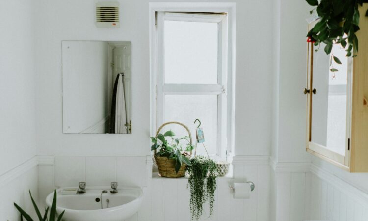 Flushing toilet Power outage