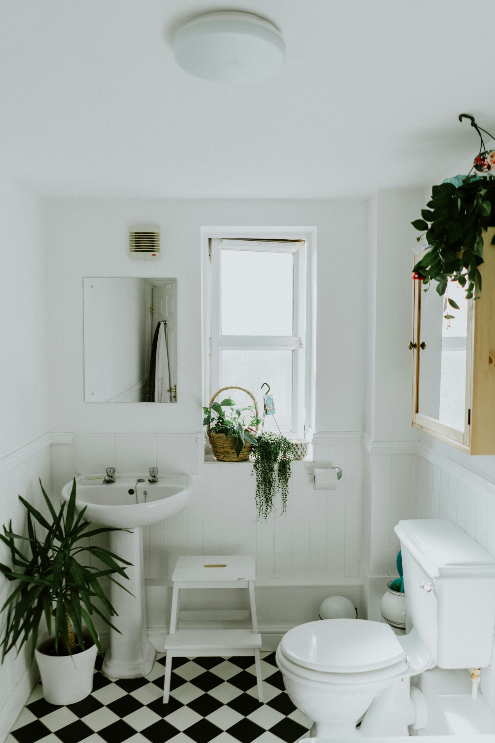 Flushing toilet Power outage